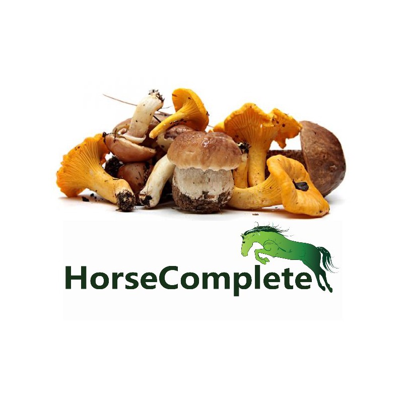 Paddenstoelen cursus & meetprotocol & testset