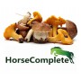HorseComplete Paddenstoelen cursus & meetprotocol & testset