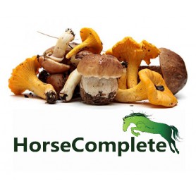E-Book HorseComplete paddenstoelenwiki