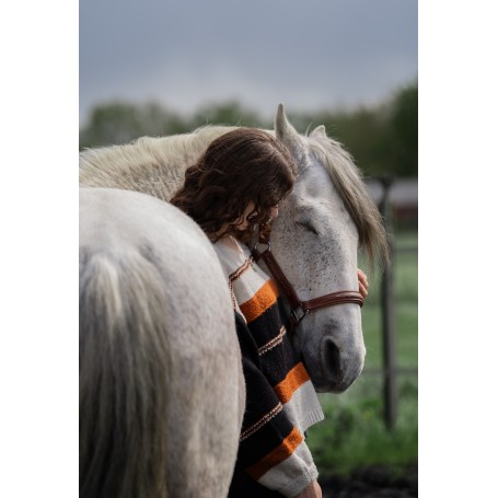 Paardencommunicatie consult en healing