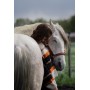 Paardencommunicatie consult en healing
