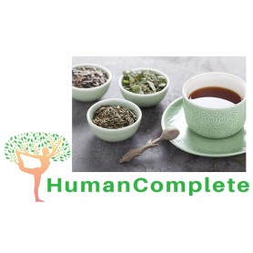 HumanComplete Theekruiden Workshop