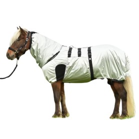 Webinar over zomereczeem met Yvonne van Dijk Atorka