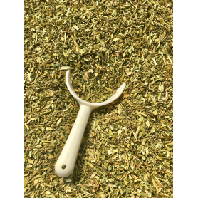 Driekleurig Viooltje