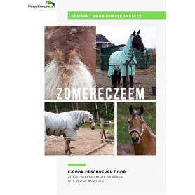 E-Book Zomereczeem