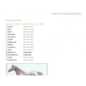 Pijnmeting volgens het pijnprotocol BASIS versie