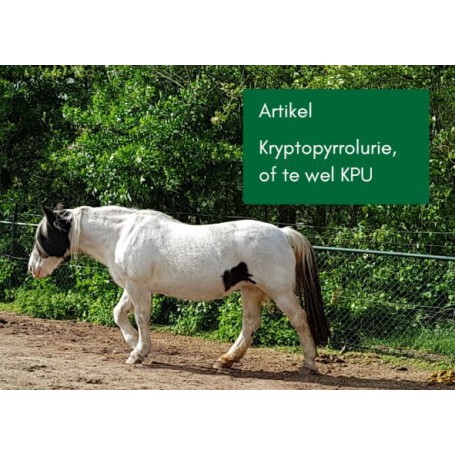 KPU Artikel: Kryptopyrrolurie, of te wel KPU